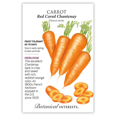 Carrot Red Cored Chantenay