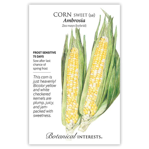 Corn Sweet Ambrosia