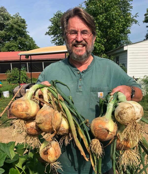 Onion Plants