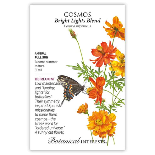 COSMOS BRIGHT LIGHTS BLEND