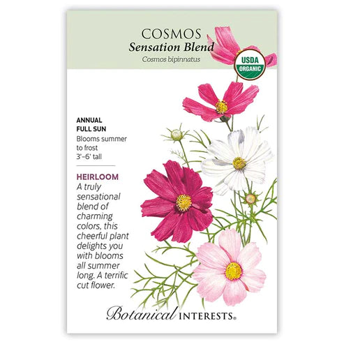 Cosmos Sensation Blend Org