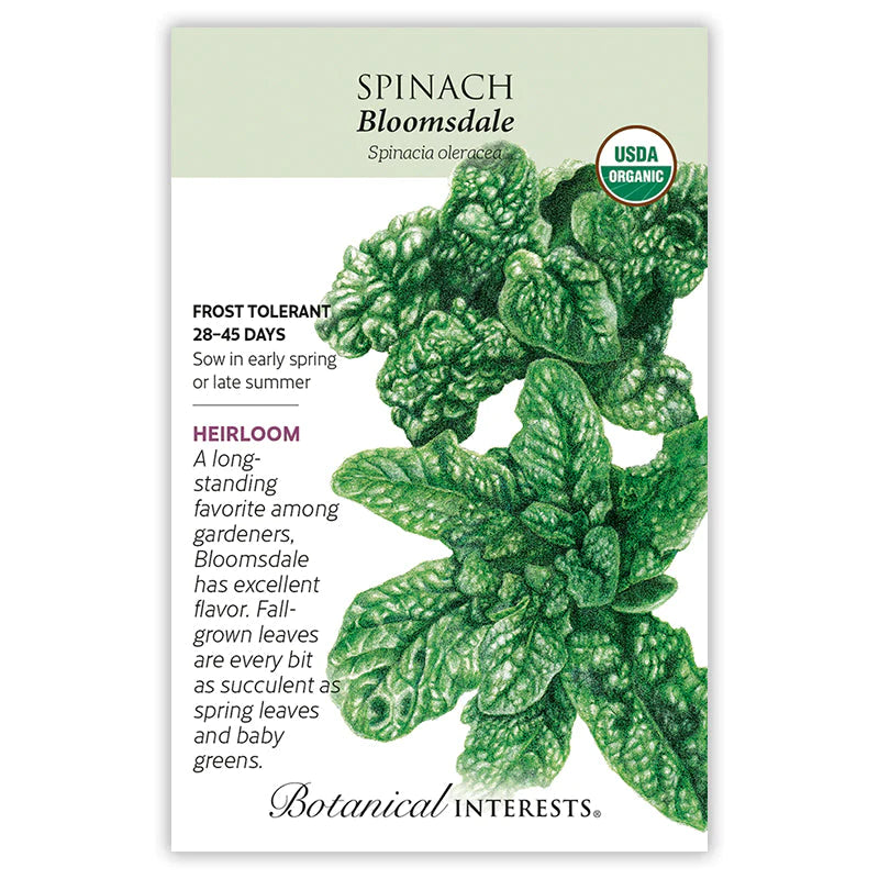 Spinach Bloomsdale Org