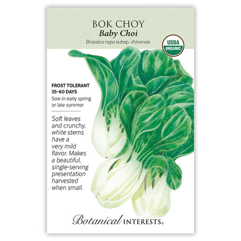 Bok Choy Baby Choi Org