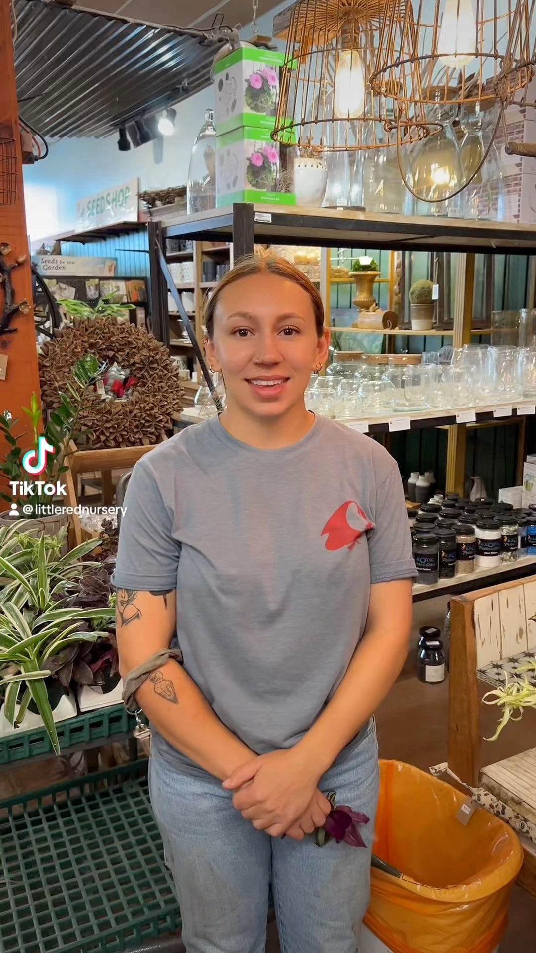 Hanging Basket Class Propagation