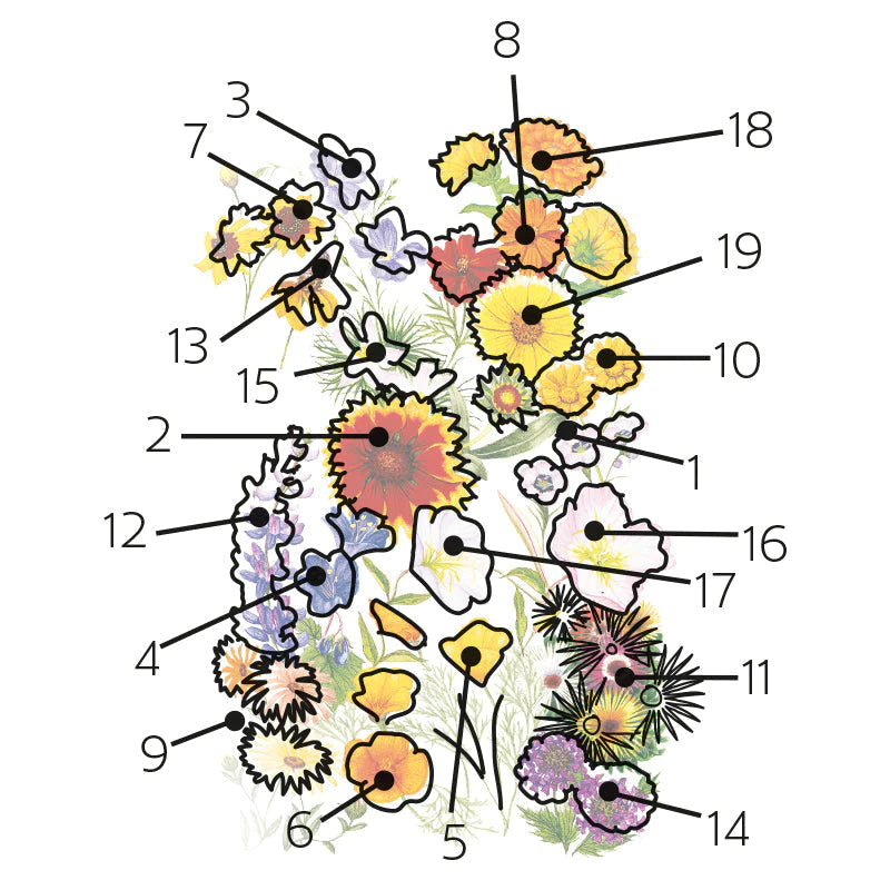 F Mix Water-Wise Garden