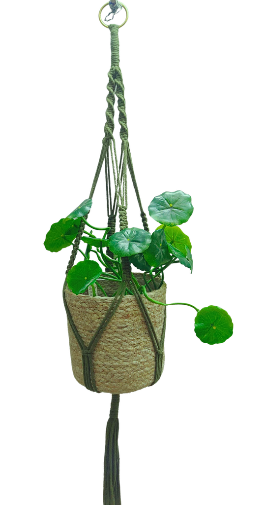 Handmade Macrame Cotton Plant Hanger