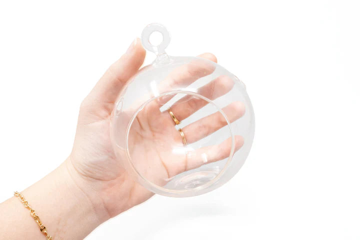 Hanging Round Glass Globe Terrarium