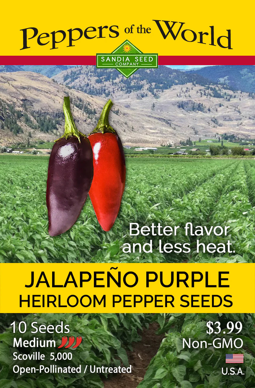 Jalapeno Purple Pepper Seed