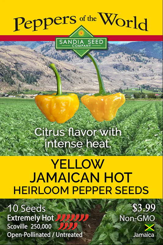 Jamaican Yellow Hot Pepper Seeds