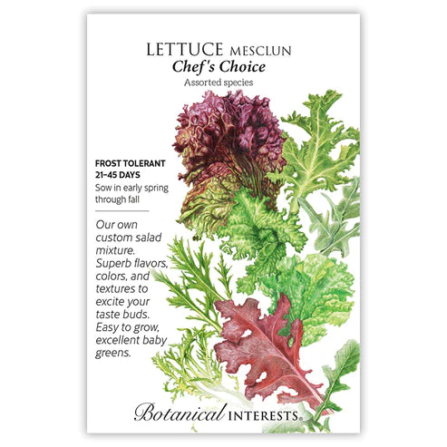 Lettuce Mesclun Chef's Choice