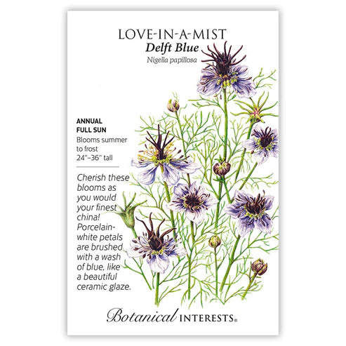 Love-In-A-Mist Delft Blue Seeds