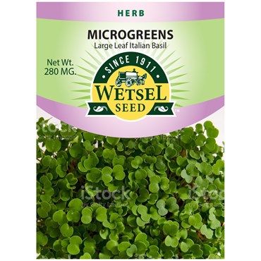 Microgreens Large Leaf Italian Basil Seeds