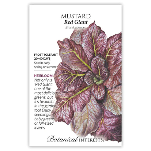 Mustard Red Giant Seeds