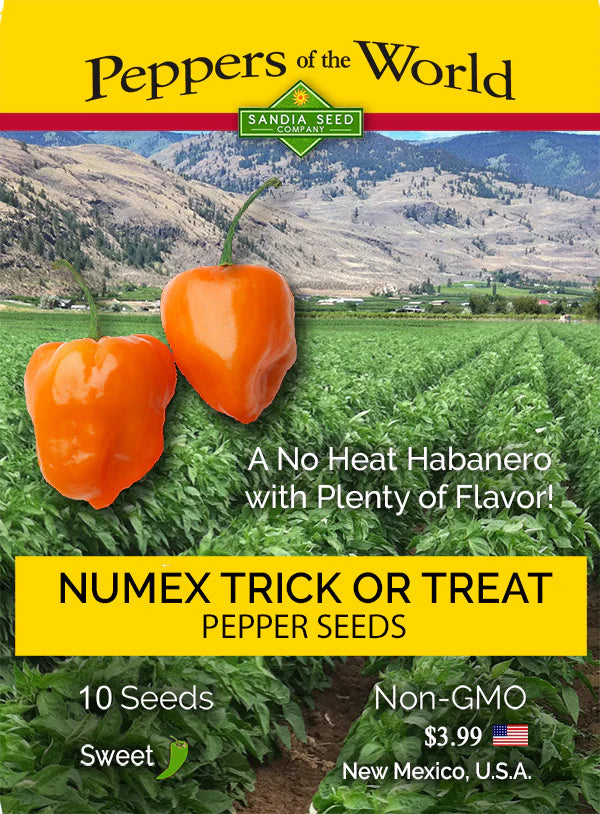 Habanero Trick or Treat NuMex Pepper Seed