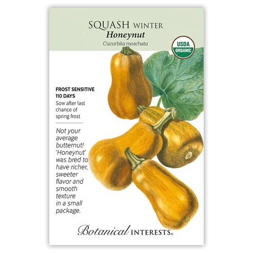 Squash Winter Honeynut Org