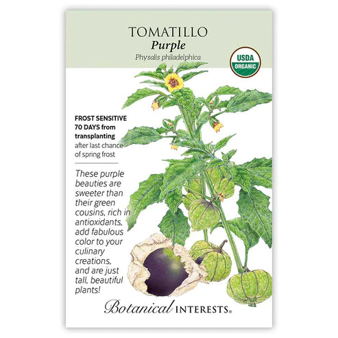 Tomatillo Purple Org