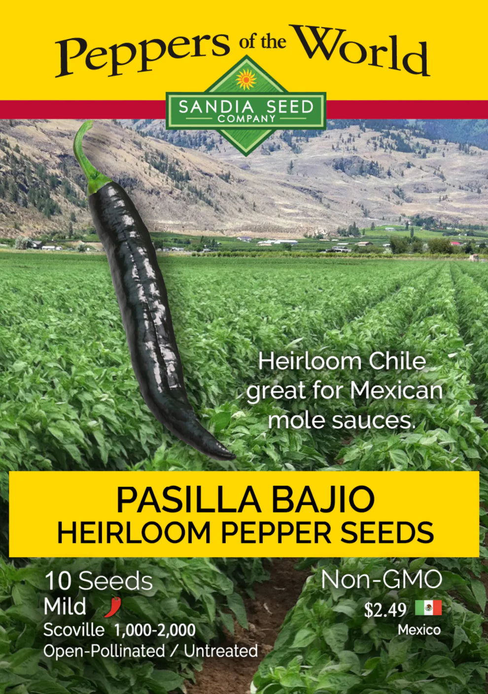 Pasilla Bajio Pepper Seed