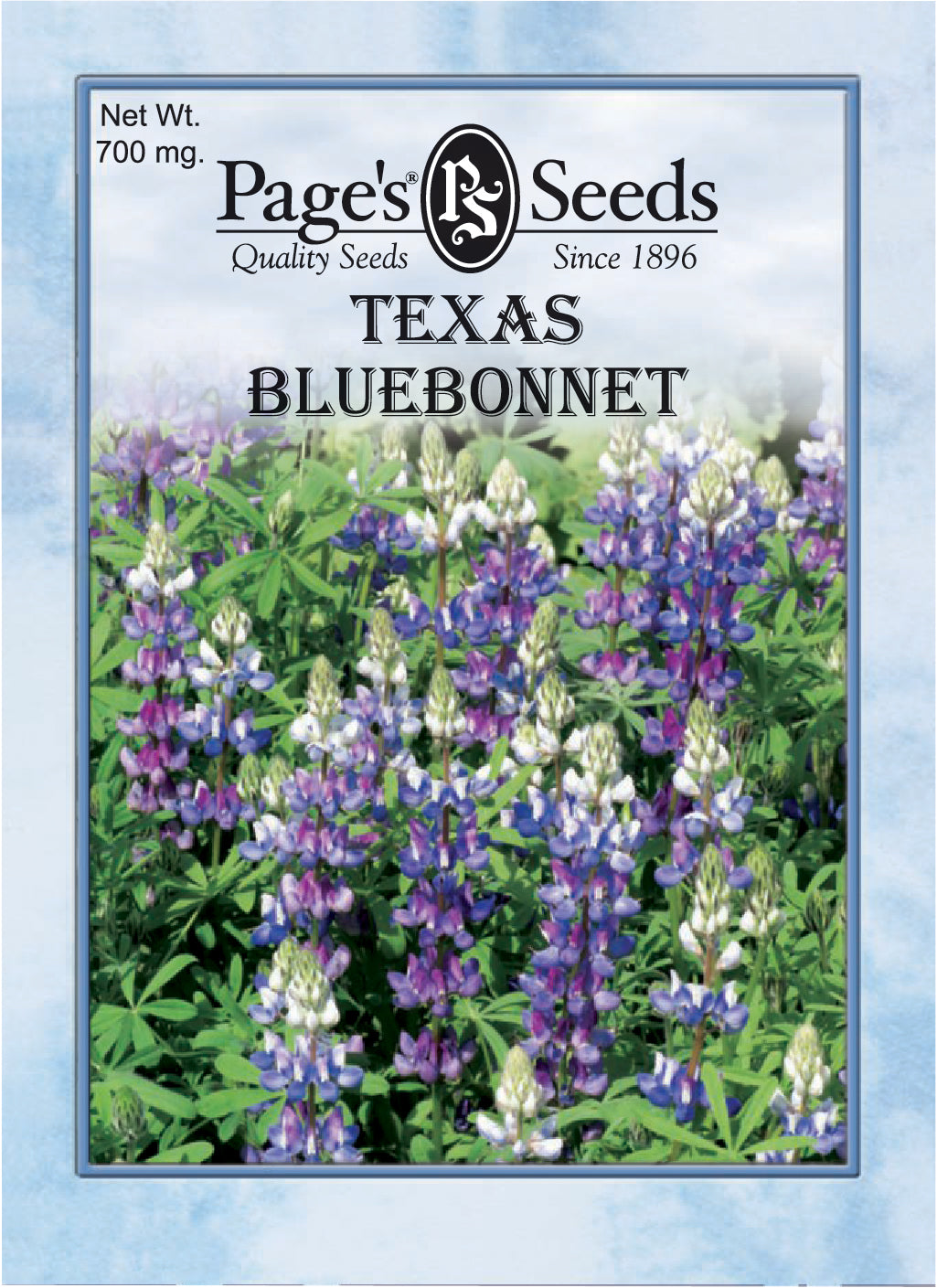 Texas Bluebonnet Seeds